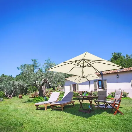 Gatto Rosso Bed & Breakfast